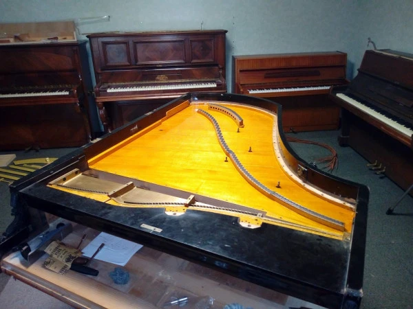pleyel-01